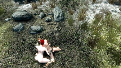 Skyrim Testing Sex Mod