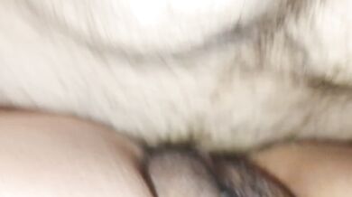 Wet Pussy fuck