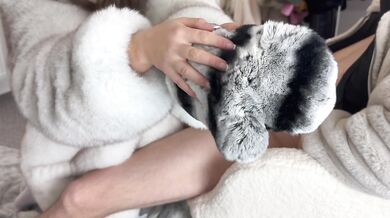 Furglove handjob chinchilla fur sensual session with cum on fur Furfetishcouple Francis and Alessia