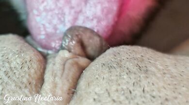 Sweet homemade pussy licking