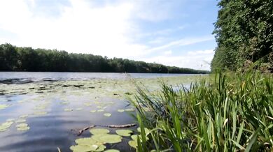 Naked swimming in the lake