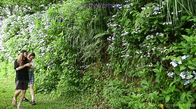 fucked village schoolgirl in hydrangea gardens