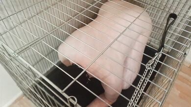 I let my pet out of the cage for strapon sex