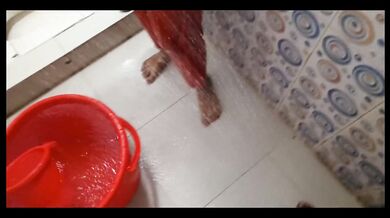 I fucked my stepsister while she was showering