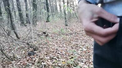 Хлопець з великим членом дрочить в лісі. Ліс. На природі. Великий член