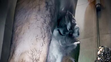 A pleasant combination of shower and handjob!
