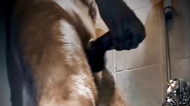 A pleasant combination of shower and handjob!