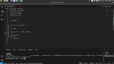 #24 Dynamic Memory. new/delete operators