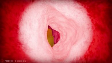 Momo's Throat Internal | ANIMATION