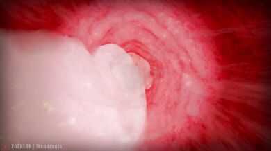 Momo's Throat Internal | ANIMATION