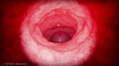 Momo's Throat Internal | ANIMATION