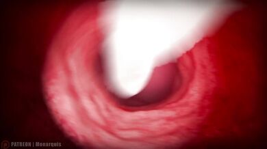 Momo's Throat Internal | ANIMATION