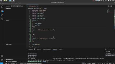 #40 Constructors and Destructors(continue)