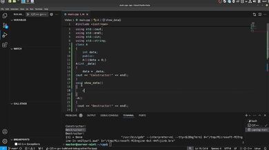 #40 Constructors and Destructors(continue)