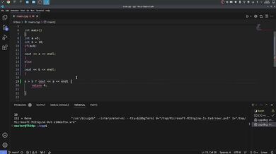 #30 Ternary Operator