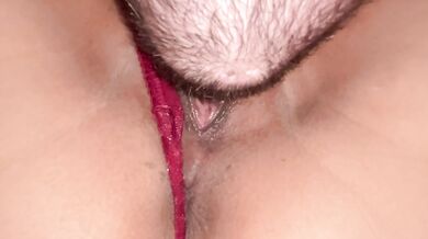 Close-up of pussy licking