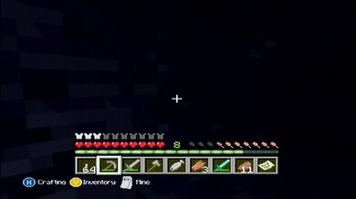 Minecraft Xbox: The Journey Begins [10]