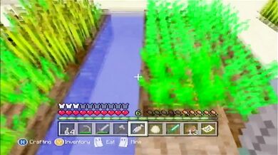 Minecraft Xbox: The Journey Begins [10]
