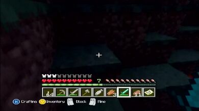 Minecraft Xbox: The Journey Begins [10]