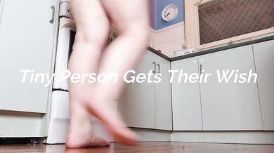 FREE PREVIEW - Tiny Person Gets Their Wish - Rem Sequence