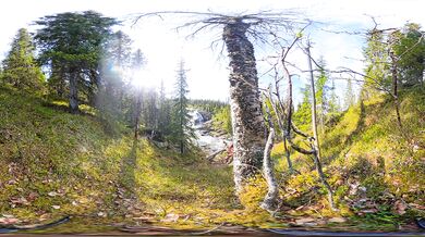 Sex at a Waterfall - RosySkye - 360