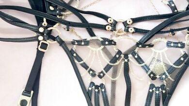 Lingerie Of The Month Honey Birdette Ayah 3pc bra thong garter stockings nylon
