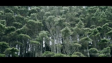 Aussie couple have public sex in woods trying not to get caught fucking