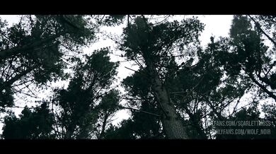 Aussie couple have public sex in woods trying not to get caught fucking
