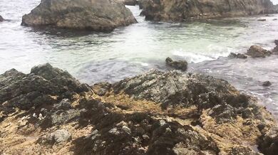 Finally a spot to show off my feet waiting for someone to give me what I need - Manlyfoot Road trip