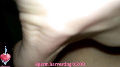 Sperm harvesting from fucked pussy with closeup of creampie inside the tight and shaved - Sneak Peak