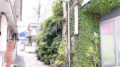 Beautiful scenery, delicious food, bathing in Nacchi