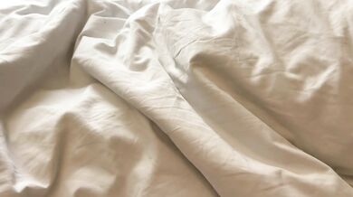 Wake up, dear, a pregnant, willing wife wakes me up every morning with a blowjob and creampie