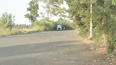 I make the trucker cum in public cuckold husband watches slutty wife with strangers