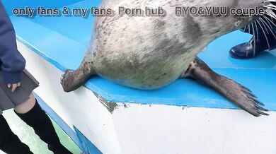 可愛いらしいパンツを擦り付けてSEXをおねだりするパイパン美少女にずらして挿入そのまま激しく突いて膣内射精！素人/顔出し/カップル/女子大生/歳の差/リアル/ハメ撮り/ニーハイ/ギャル/英語字幕