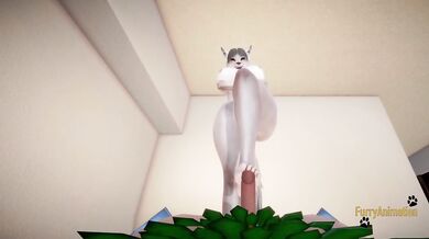 Furry Hentai - White Wolf x Human Dragon POV Footjob
