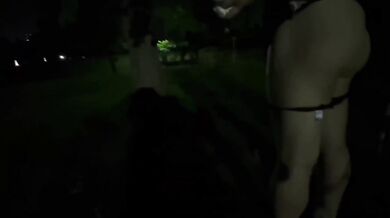 【個人撮影】夜の公園でムチムチ看護師に大量中出し帰りはリモコンバイブで自宅まで我慢できずにお漏らしHENTAI/ハメ撮り/素人/青姦