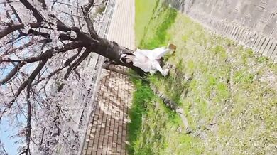 I met a girl in a Japanese-Lo-costume under a cherry tree and had sex with various positions.