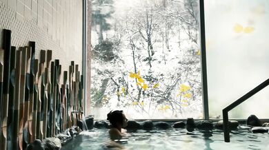 [Niigata Onsen of Snow and Rabbit with Handsdo]