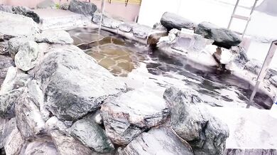 Chiba Onsen shell Nipples