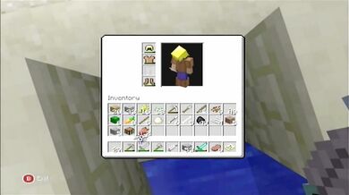 Minecraft Xbox: The Cat I Never Had [12]