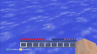 Minecraft Xbox: The Cat I Never Had [12]