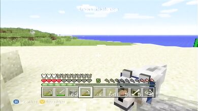 Minecraft Xbox: The Cat I Never Had [12]