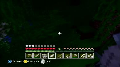 Minecraft Xbox: The Cat I Never Had [12]