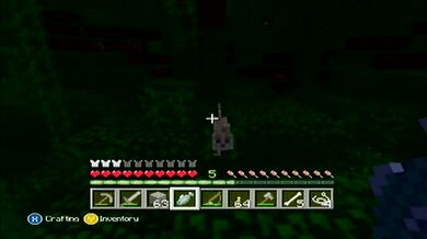 Minecraft Xbox: The Cat I Never Had [12]