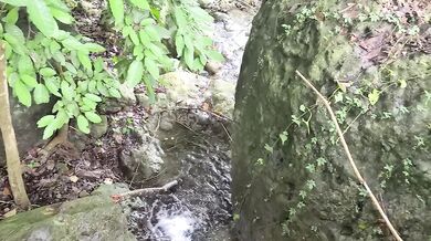 Pinay Cooking Wild Ferns and Sex in the Riverside - Viral Single Mom Outdoor