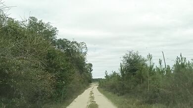 MEETING MY BOSS MAN'S WIFE IN THE FIELD!!!