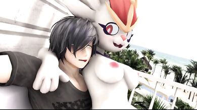 compilation furry o1 hmv