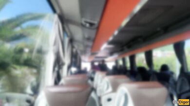 Crazy Man Takes Out His Cock On Public Bus - But Girl Doesn't Lose Her Head And Helps Him Cum