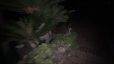 ANAL PUNISHMENT for the BLONDE NEXT DOOR