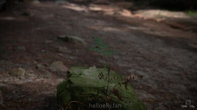 Go wild with the hot stranger in a forest | CUM ON MY FACE